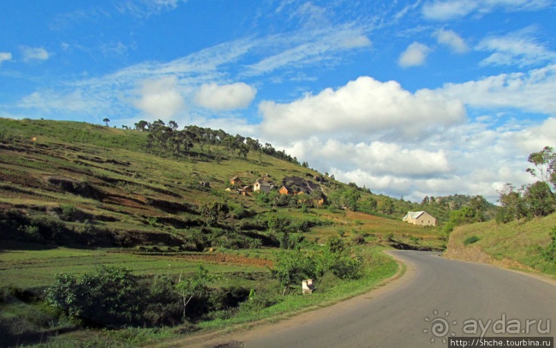 Мадагаскарские картинки. Первое впечатление