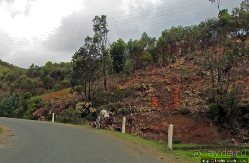 Мадагаскарские картинки. Первое впечатление