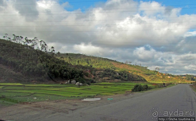 Мадагаскарские картинки. Первое впечатление