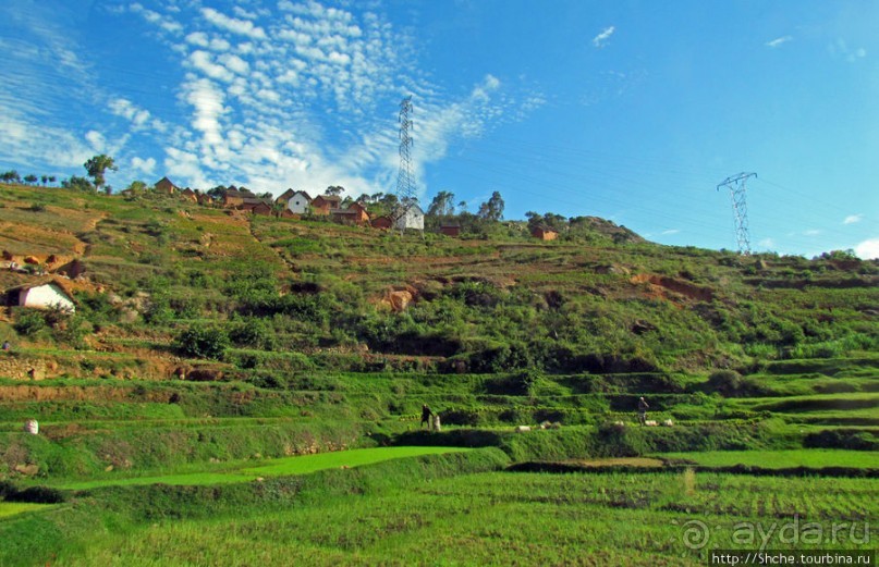 Мадагаскарские картинки. Первое впечатление