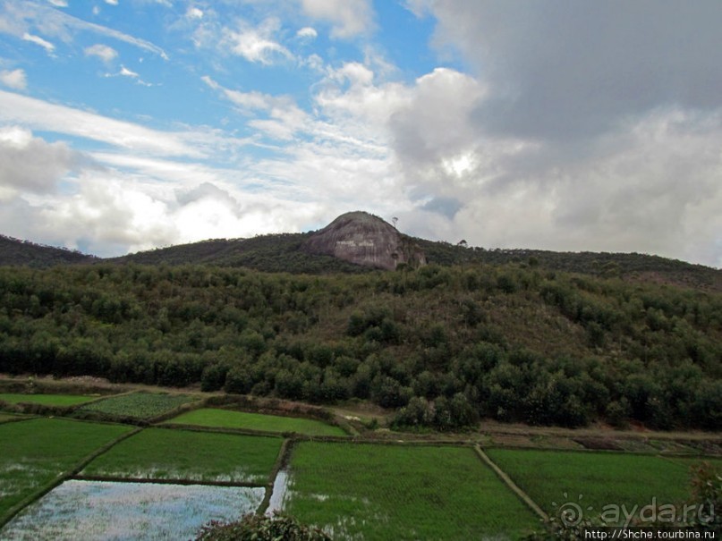 Мадагаскарские картинки. Первое впечатление