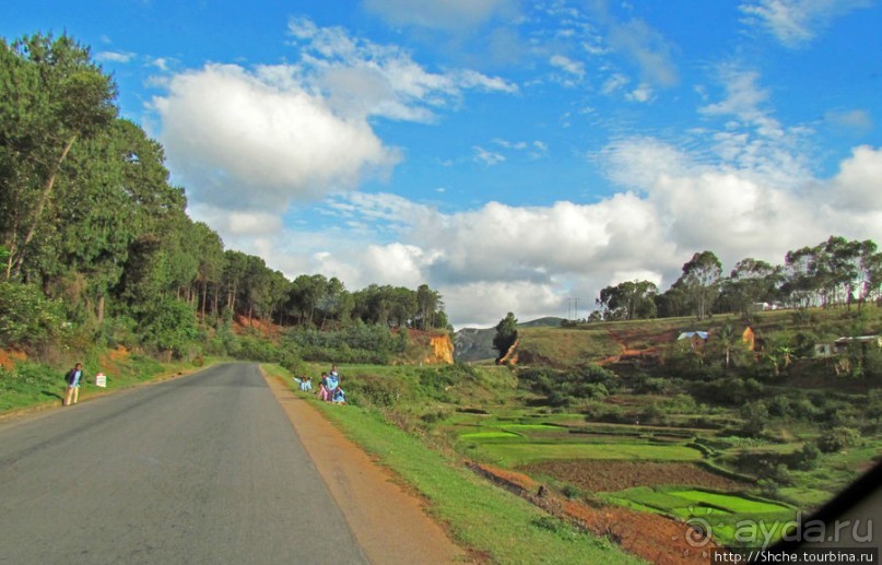 Мадагаскарские картинки. Первое впечатление