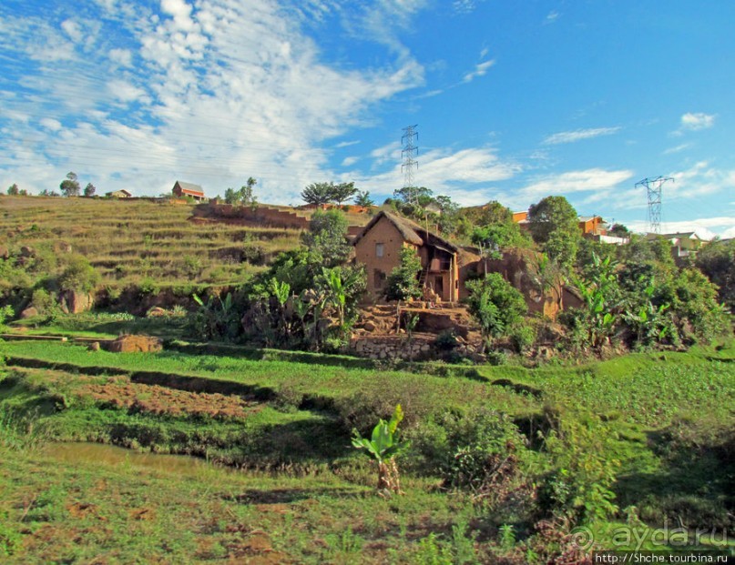 Мадагаскарские картинки. Первое впечатление