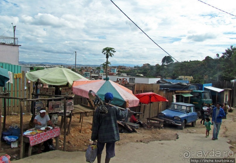 Мадагаскарские картинки. Первое впечатление