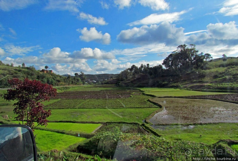 Мадагаскарские картинки. Первое впечатление