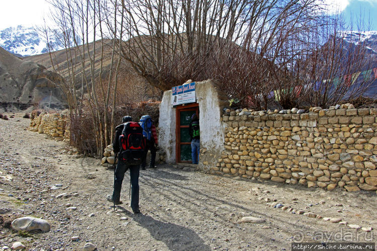 И кров, и еда, и кемпинг