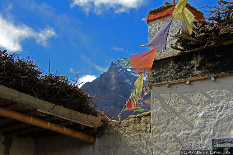 И кров, и еда, и кемпинг