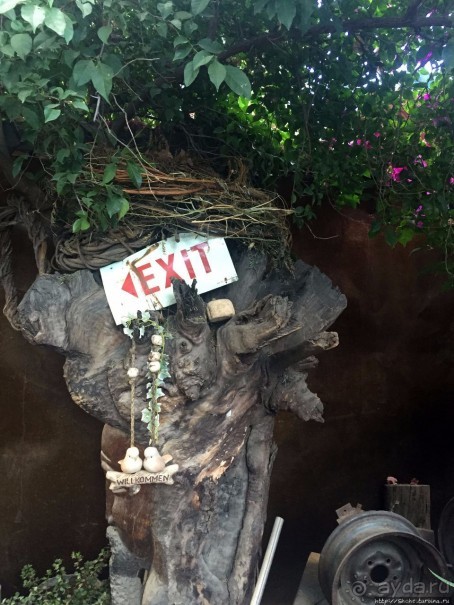 Альбом отзыва "Три вида антилопотятины на одном шампуре"