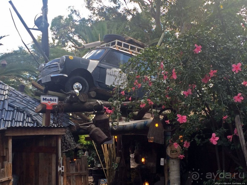 Альбом отзыва "Три вида антилопотятины на одном шампуре"