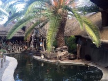 Альбом отзыва "Три вида антилопотятины на одном шампуре"