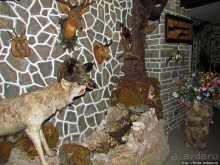 Отель — ресторан — сауна в горах Румынии