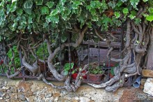 Княжество Себорга — независимость, как последствие склероза