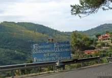 Княжество Себорга — независимость, как последствие склероза