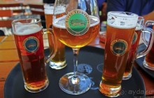 Пивная терраса на берегу Ааре: 5 видов пива и живые медведи