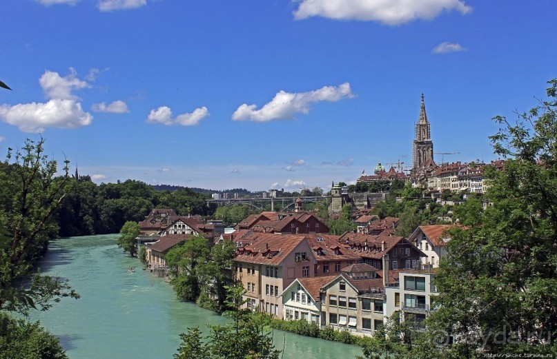 Пивная терраса на берегу Ааре: 5 видов пива и живые медведи