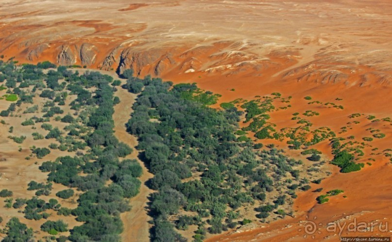 Реку в пустыне видете? А она есть!