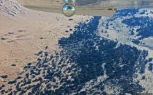 Реку в пустыне видете? А она есть!