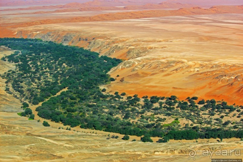 Реку в пустыне видете? А она есть!