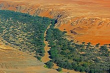 Реку в пустыне видете? А она есть!