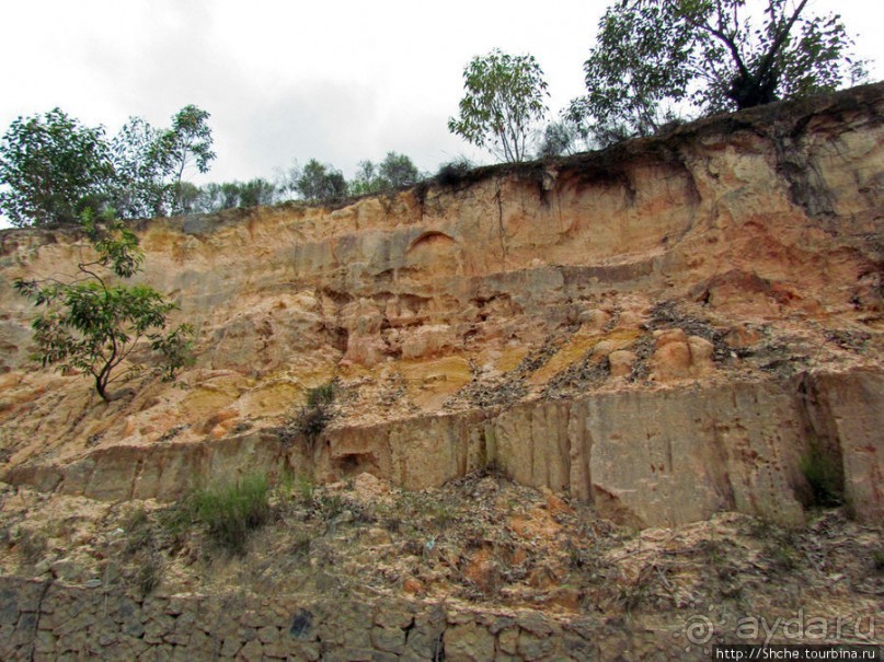 Мадагаскарские картинки. Восточная провинция Туамансина