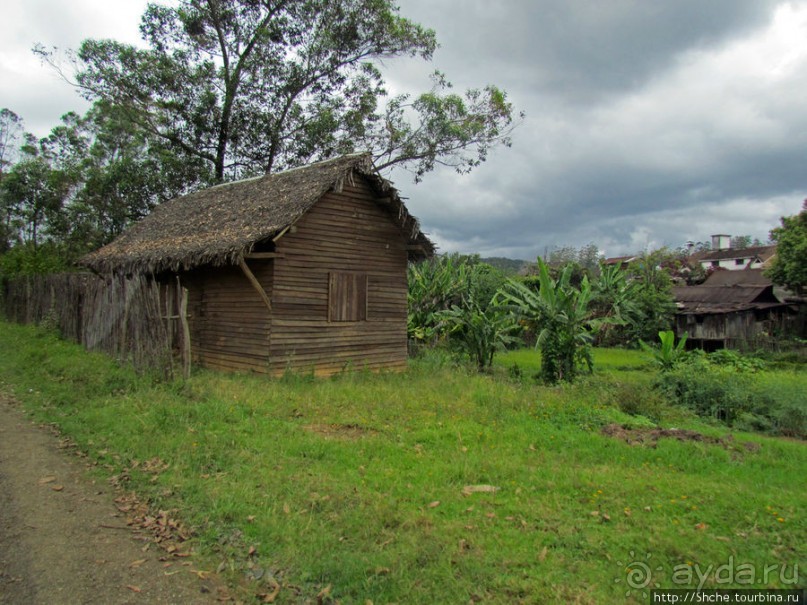 Мадагаскарские картинки. Восточная провинция Туамансина