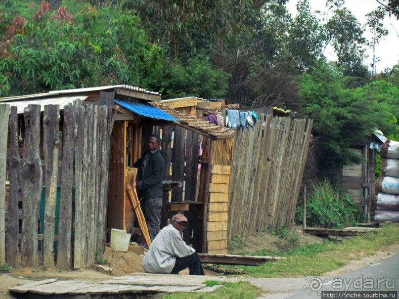 Мадагаскарские картинки. Восточная провинция Туамансина