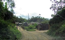 Мадагаскарские картинки. Восточная провинция Туамансина