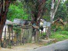 Мадагаскарские картинки. Восточная провинция Туамансина