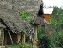 Мадагаскарские картинки. Восточная провинция Туамансина