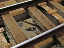 Мадагаскарские картинки. Восточная провинция Туамансина