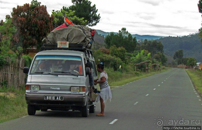 Мадагаскарские картинки. Восточная провинция Туамансина