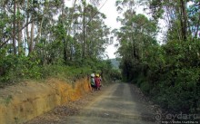 Мадагаскарские картинки. Восточная провинция Туамансина