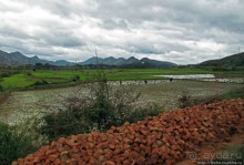 Мадагаскарские картинки. Восточная провинция Туамансина