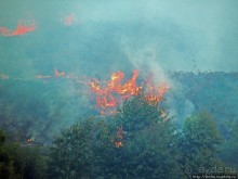 Мадагаскарские картинки. Восточная провинция Туамансина