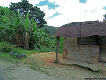 Мадагаскарские картинки. Восточная провинция Туамансина