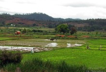 Мадагаскарские картинки. Восточная провинция Туамансина