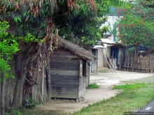 Мадагаскарские картинки. Восточная провинция Туамансина