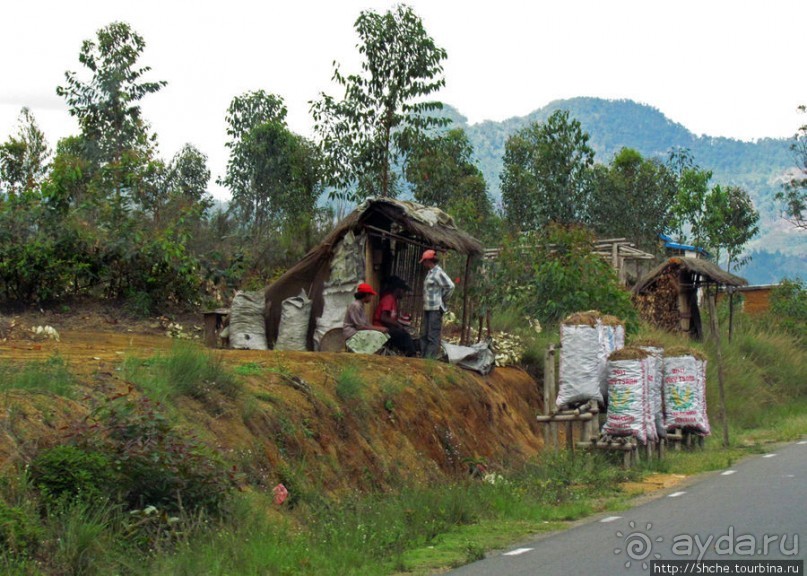 Мадагаскарские картинки. Восточная провинция Туамансина