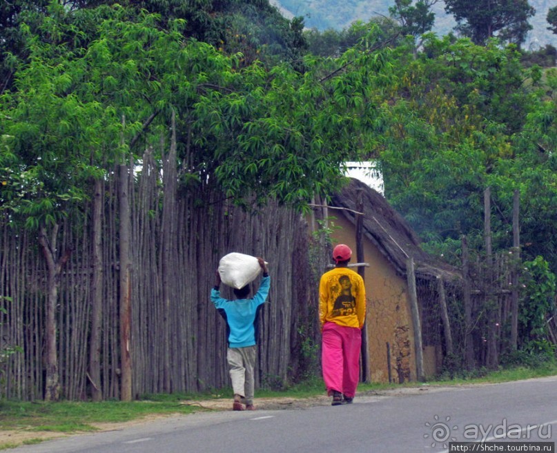 Мадагаскарские картинки. Восточная провинция Туамансина