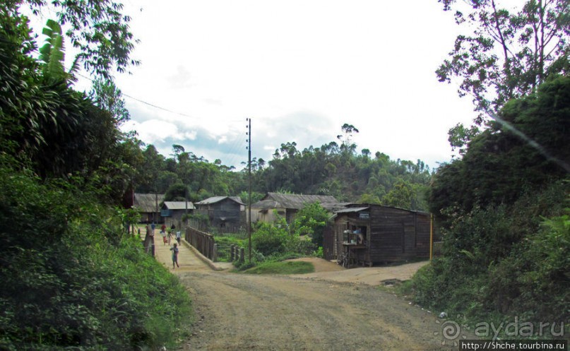 Мадагаскарские картинки. Восточная провинция Туамансина