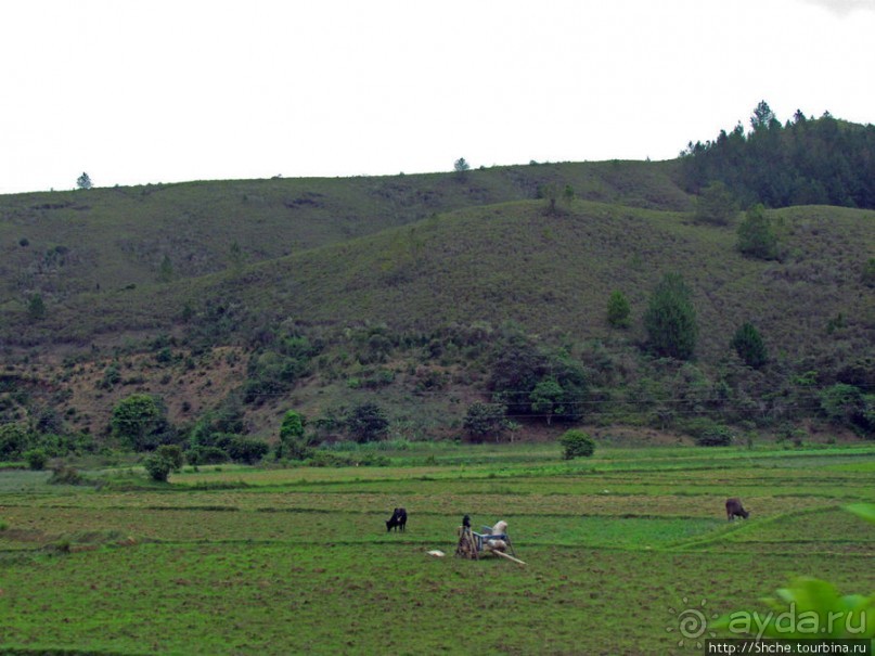 Мадагаскарские картинки. Восточная провинция Туамансина