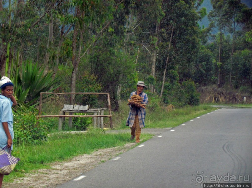 Мадагаскарские картинки. Восточная провинция Туамансина