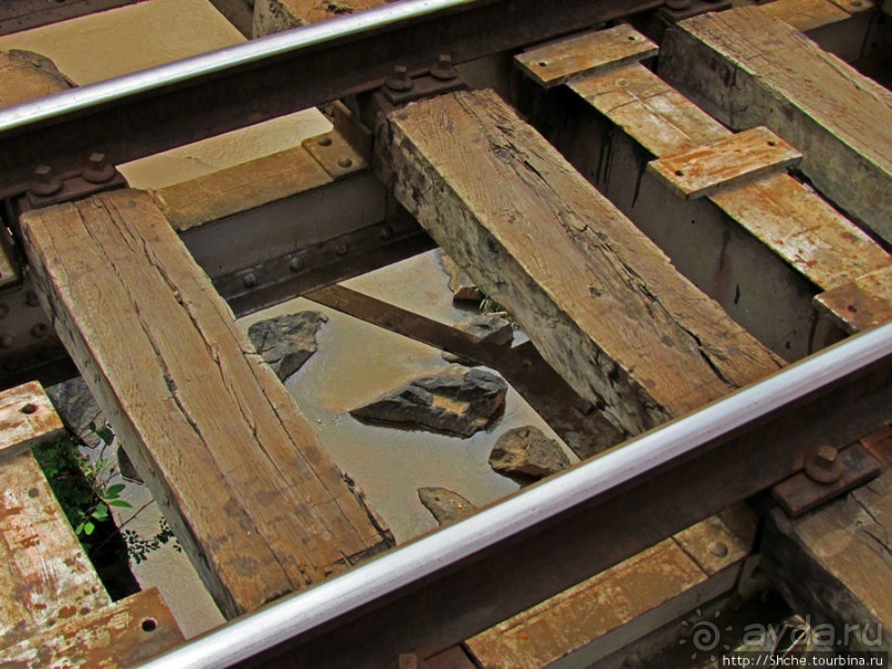 Мадагаскарские картинки. Восточная провинция Туамансина