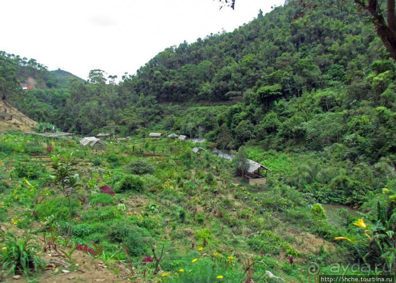 Мадагаскарские картинки. Восточная провинция Туамансина