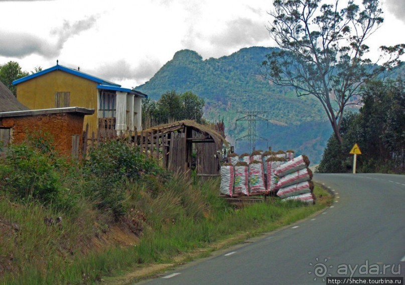 Мадагаскарские картинки. Восточная провинция Туамансина