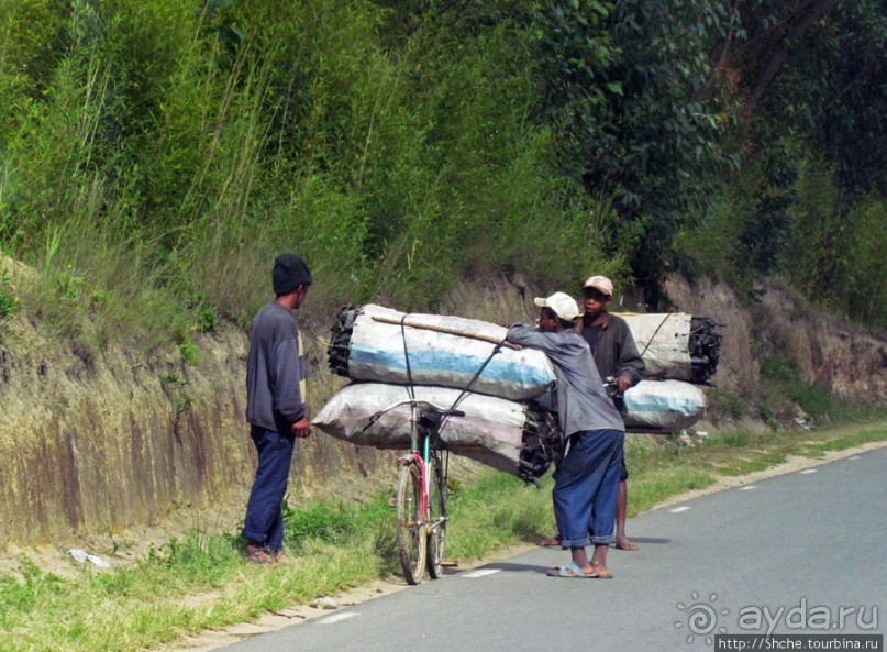 Мадагаскарские картинки. Восточная провинция Туамансина