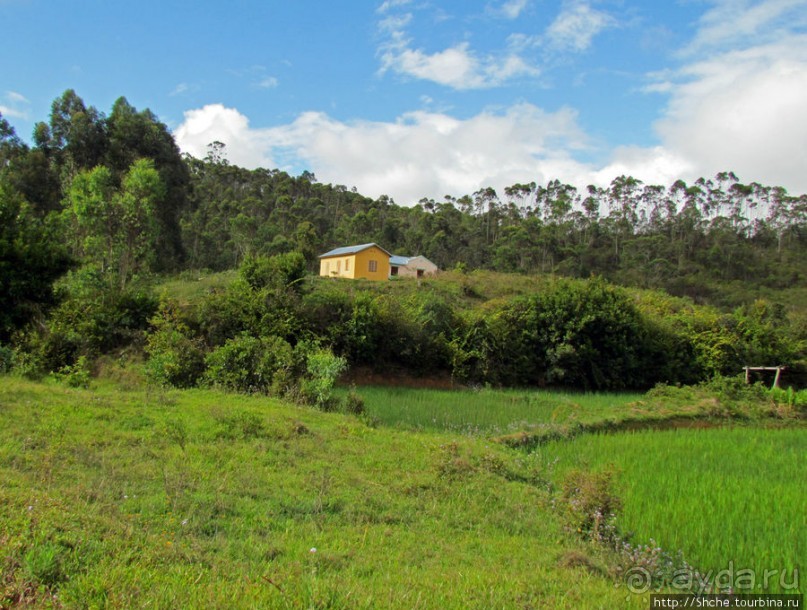 Мадагаскарские картинки. Восточная провинция Туамансина