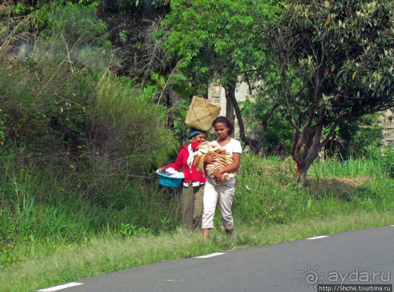 Мадагаскарские картинки. Восточная провинция Туамансина