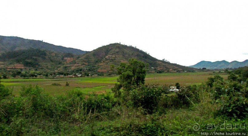 Мадагаскарские картинки. Восточная провинция Туамансина