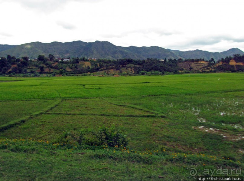 Мадагаскарские картинки. Восточная провинция Туамансина